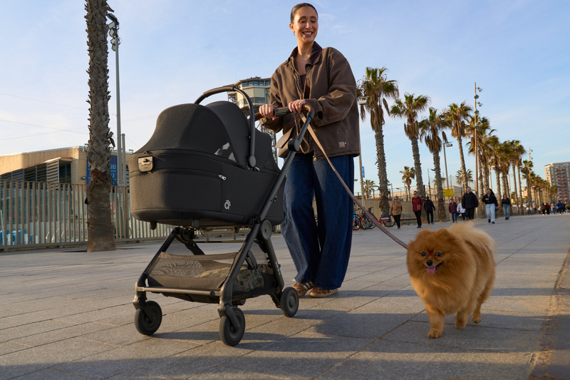  КОШ ЗА ДОМАШЕН ЛЮБИМЕЦ