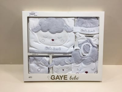 Gaye bebe-Комплект за изписване 10ч