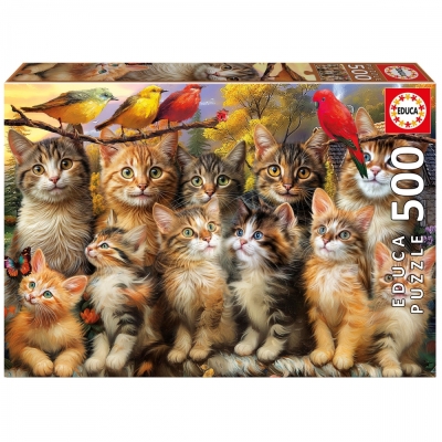 Пъзел, Educa, Котета и птички, 500 части