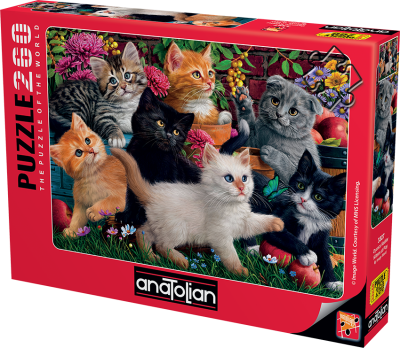 Игриви котета  - пъзел 260 части