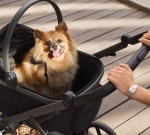 Anex Modu кош за домашни любимци