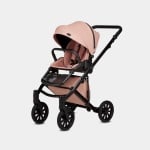Anex-бебешка количка 2в1 E/Type Peach:CR12