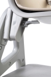 Столче За Хранене Smartee 3-В-1 -Caretero  До 110 Кг 