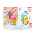 Сортер Fantastic Mushroom House QX-91171E