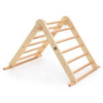 Многофункционален триъгълник на Пиклер