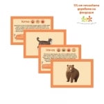 Cubos Образователни карти - Животни, 50 броя