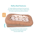 Бебешко гнездо против рефлукс Teddy Baby